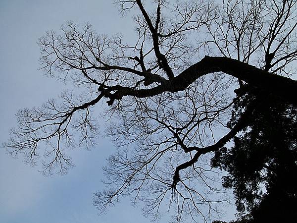 L1260423.JPG L1260423.JPG