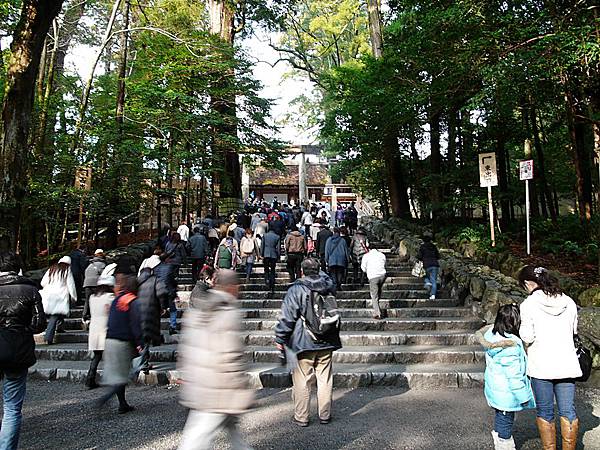 L1260443.JPG L1260443.JPG