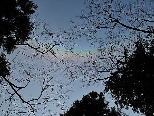 L1260495.JPG L1260495.JPG