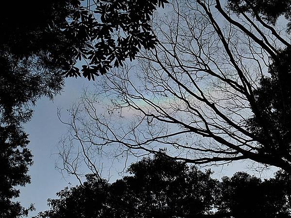 L1260533.JPG L1260533.JPG