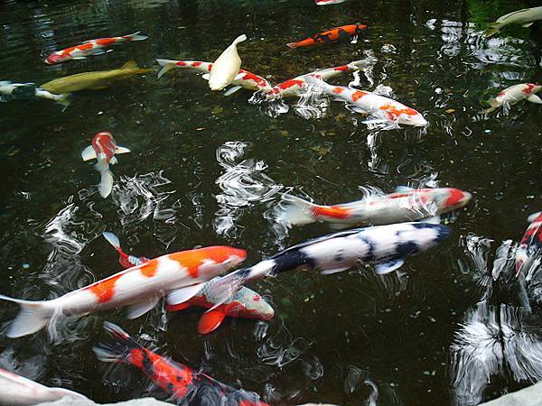 L1260605.JPG L1260605.JPG