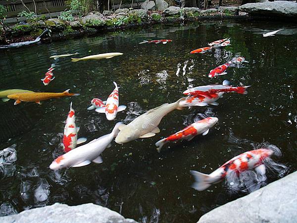 L1260611.JPG L1260611.JPG