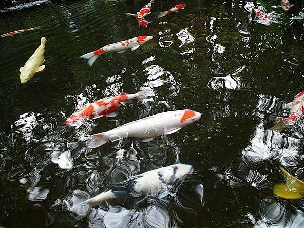 L1260616.JPG L1260616.JPG