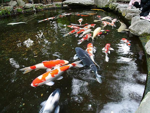 L1260629.JPG L1260629.JPG