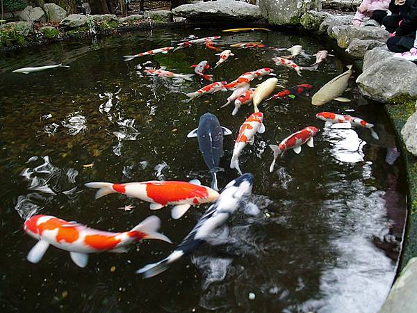 L1260630.JPG L1260630.JPG