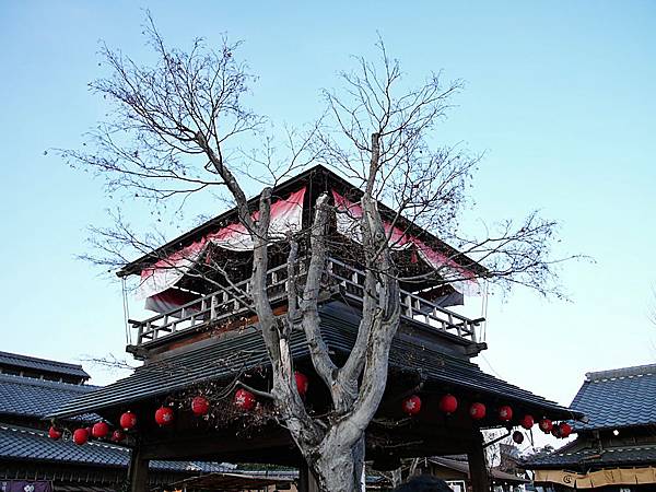 L1260671.JPG L1260671.JPG