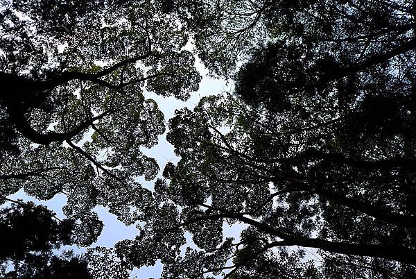 L1382922.JPG L1382922.JPG