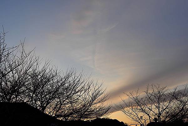 L1383028.JPG L1383028.JPG