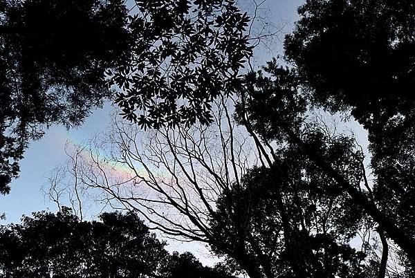 L1382925.JPG L1382925.JPG