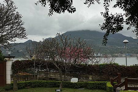 DSCF7002.JPG DSCF7002.JPG