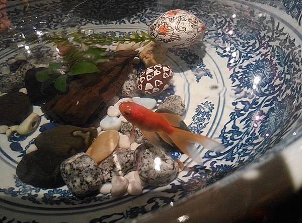 IMG_20141123_193323 IMG_20141123_193323