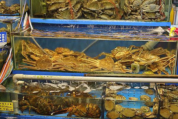 DSCF2926.JPG DSCF2926.JPG