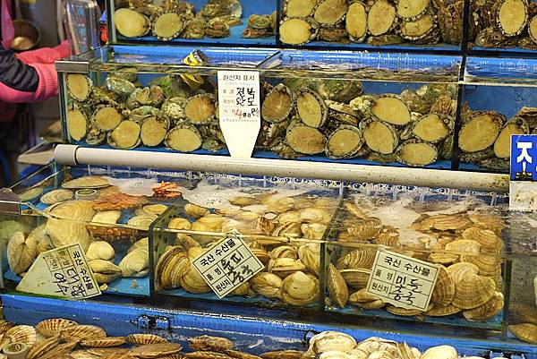 DSCF2931.JPG DSCF2931.JPG