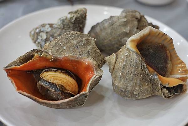 DSCF2943.JPG DSCF2943.JPG