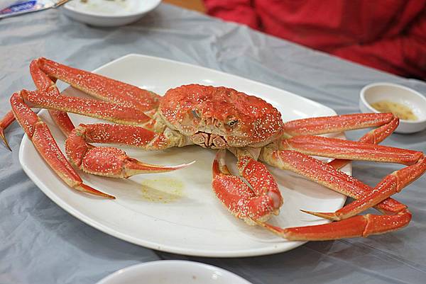 DSCF2950.JPG DSCF2950.JPG