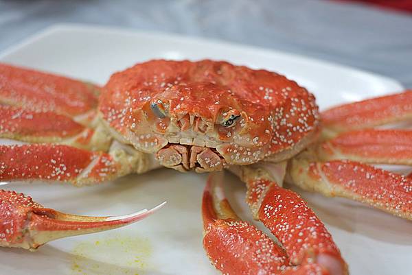 DSCF2951.JPG DSCF2951.JPG