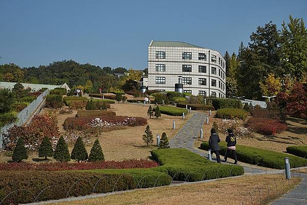 DSCF2971.JPG DSCF2971.JPG