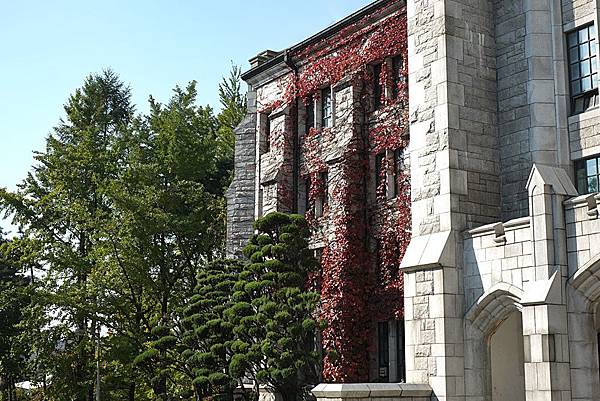 DSCF2983.JPG DSCF2983.JPG