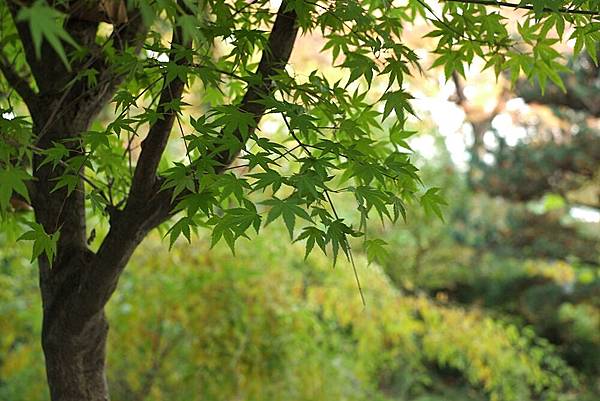 DSCF3023.JPG DSCF3023.JPG