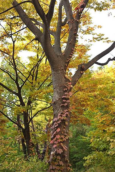 DSCF3027.JPG DSCF3027.JPG