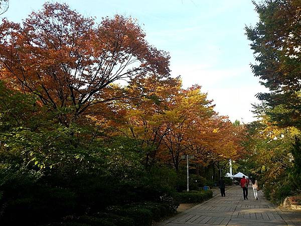 20131030_150310.jpg 20131030_150310.jpg