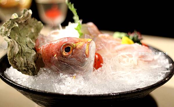 IMG_9955.jpg IMG_9955.jpg