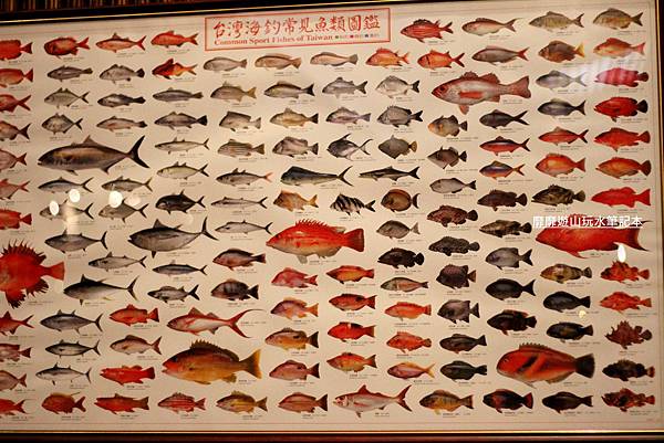 IMG_0078.jpg IMG_0078.jpg