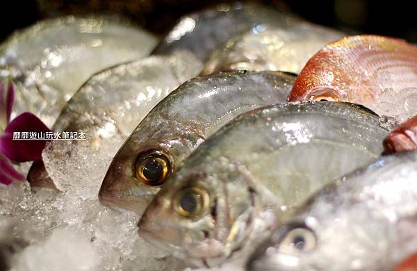 IMG_0029.jpg IMG_0029.jpg