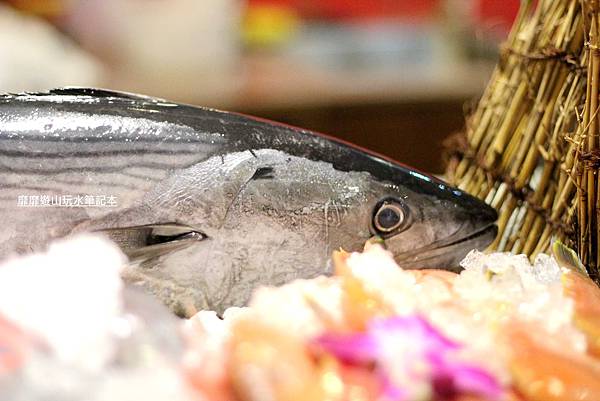 IMG_0021.jpg IMG_0021.jpg