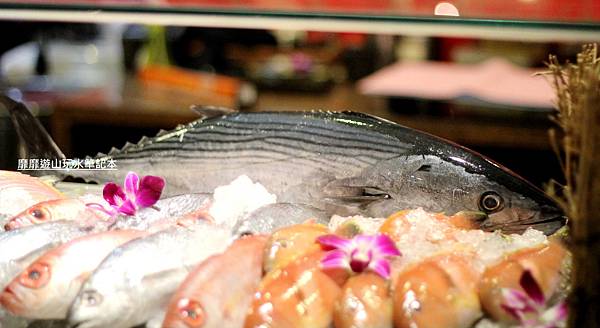 IMG_0020.jpg IMG_0020.jpg