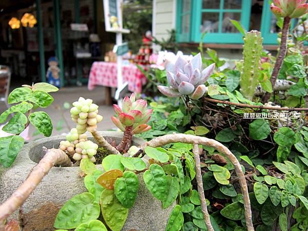 IMG_3037.jpg IMG_3037.jpg