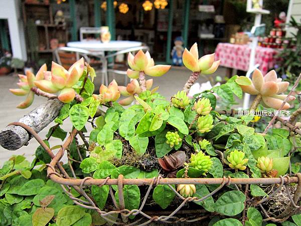 IMG_3036.jpg IMG_3036.jpg