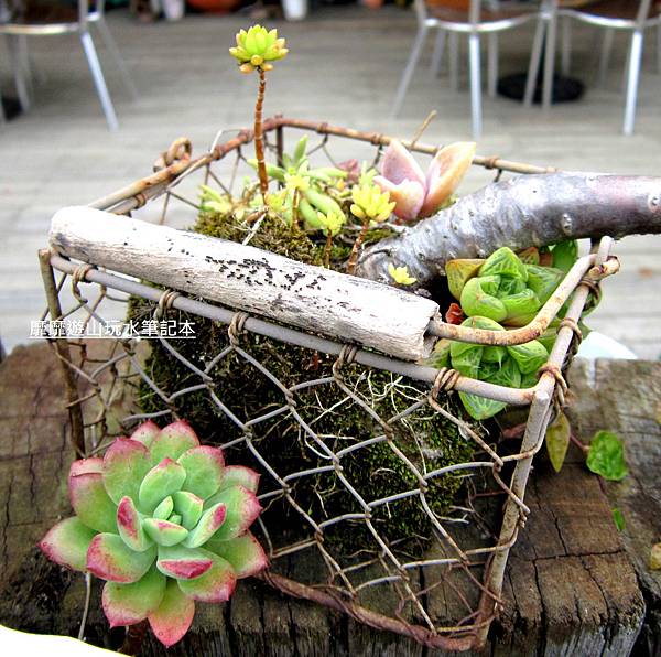 IMG_3034.jpg IMG_3034.jpg