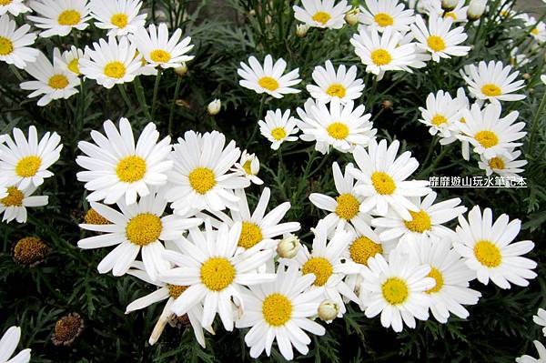 IMG_2970.jpg IMG_2970.jpg