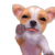 001.gif 001.gif