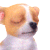 043.gif 043.gif