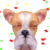 054.gif 054.gif