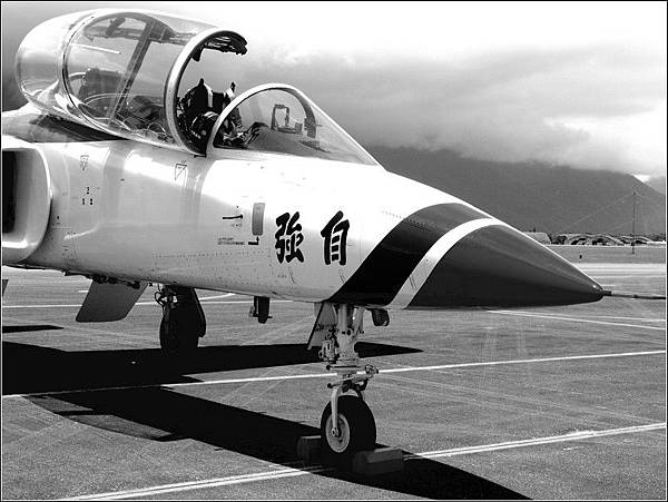 台灣空軍雷虎特技小組AT-3 台灣空軍雷虎特技小組AT-3