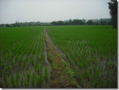 555222 075_調整大小