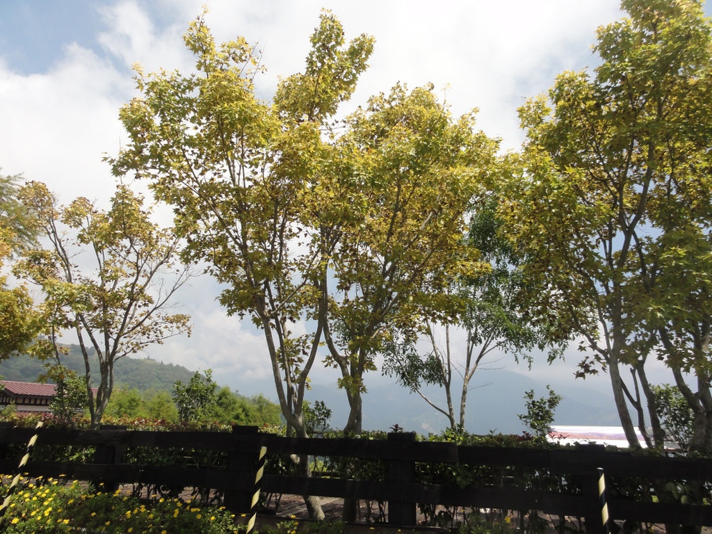 DSC05625_compressed.jpg DSC05625_compressed.jpg