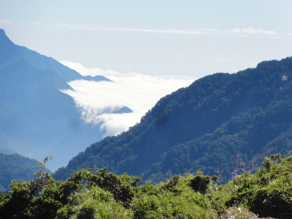 DSC05845.jpg DSC05845.jpg