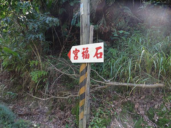 DSC06144.jpg DSC06144.jpg