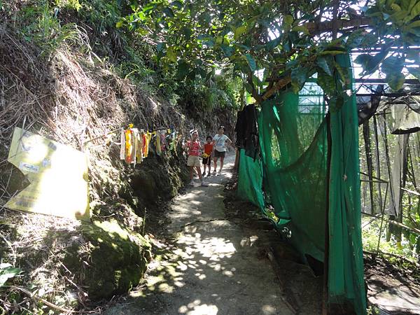 DSC06155.jpg DSC06155.jpg