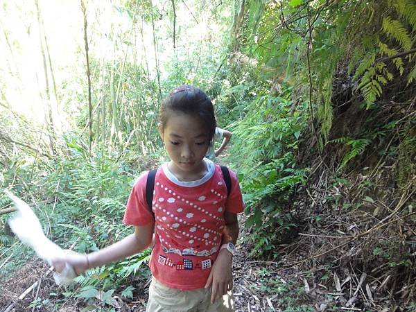 DSC06161.jpg DSC06161.jpg