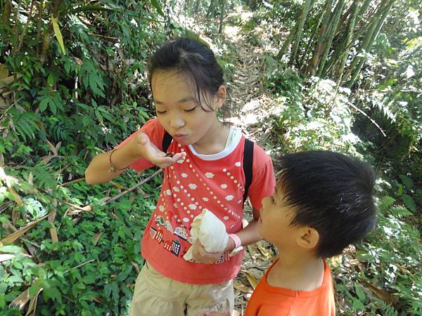 DSC06166.jpg DSC06166.jpg