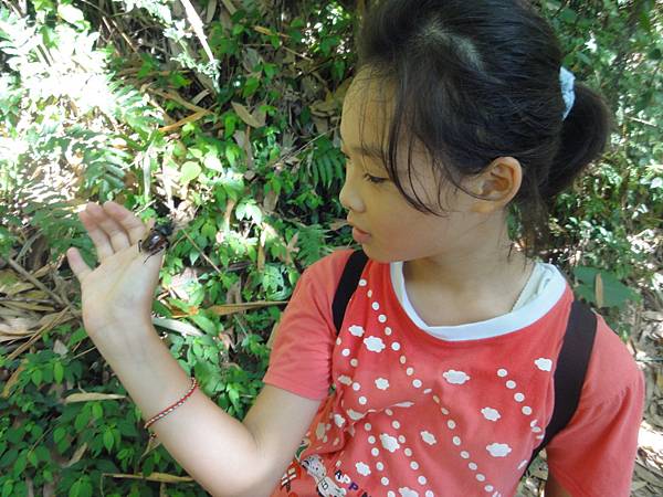 DSC06167.jpg DSC06167.jpg