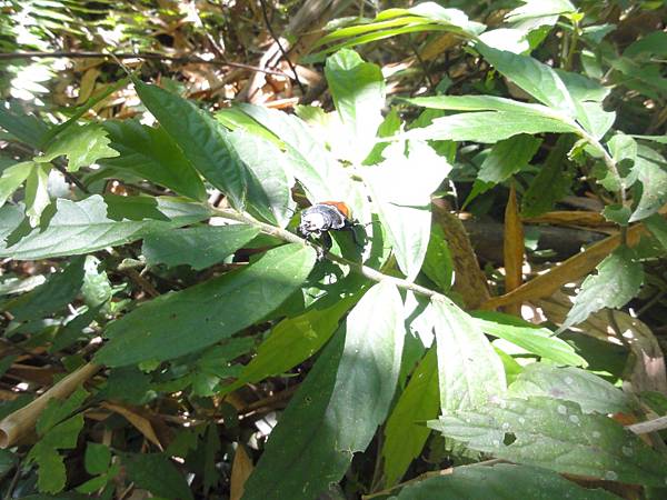 DSC06169.jpg DSC06169.jpg