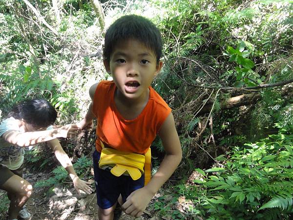 DSC06172.jpg DSC06172.jpg