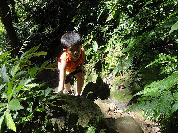 DSC06176.jpg DSC06176.jpg