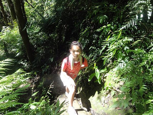 DSC06177.jpg DSC06177.jpg